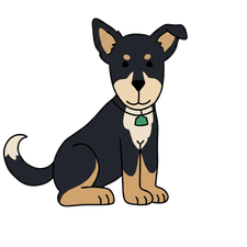 Katy, the Smellydog dog
